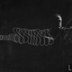 Illustration for article titled This incredible photograph illustrates the movements of a violinists bow